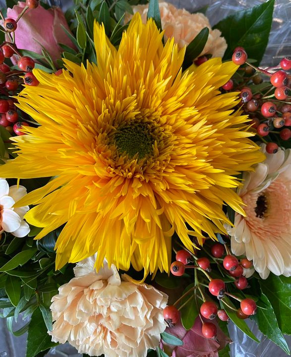 Det nyeste på Roslevs opslagstavle