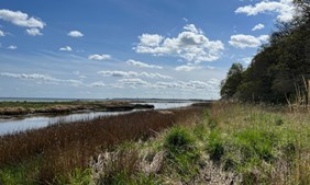 Stor donation skal genoprette havmiljø og styrke friluftsliv i Horsens Fjord og det østjyske øhav