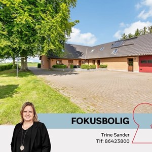 Opslagsbillede