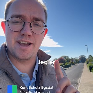 Opslagsbillede