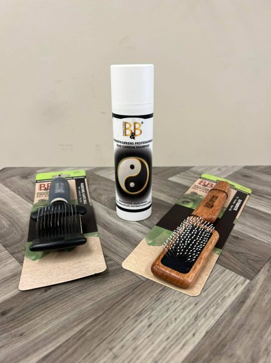 En finger på pulsen i Sæby