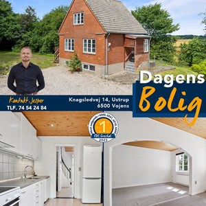 Opslagsbillede
