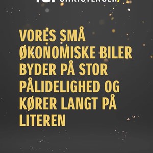 Opslagsbillede