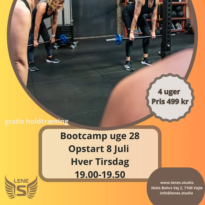 Sommer bootcamp uge 28 hos LeneS tilbyder træning og udfordringer i Boxen