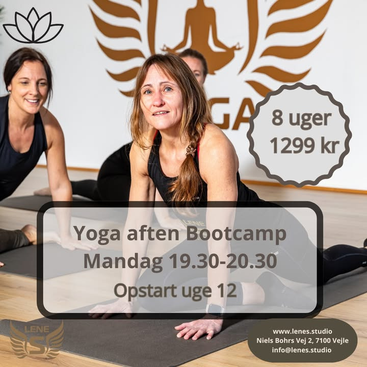 Yoga bootcamp uge 12 hos LeneS: Start din rejse mod bedre søvn og mindre stress