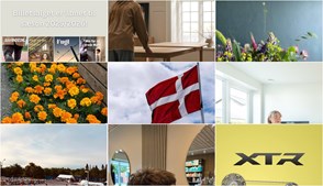 Nyt fra Operaen i Midten, MIN KØBMAND I ASP, NordVestBO og 7 andre