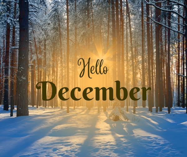 Zones By Gitte er fuldt booket resten af året – sådan får du plads på ventelisten