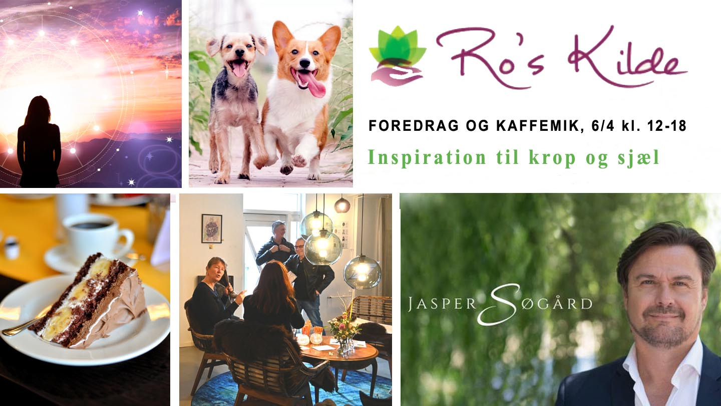 Inspirerende eftermiddag med foredrag og træning i Roskilde