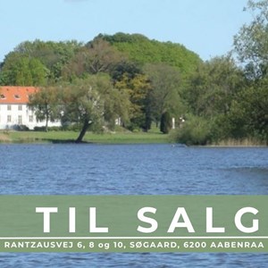 Opslagsbillede