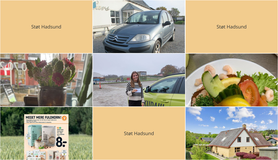 Nyt fra Oscar Biludlejning, HELLES KØKKEN ApS, Havnens fisk og grill og 3 andre