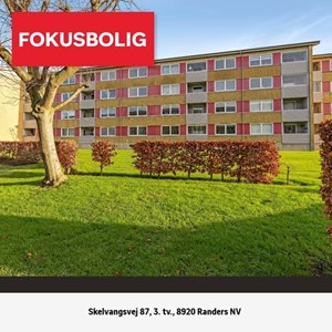 Opslagsbillede