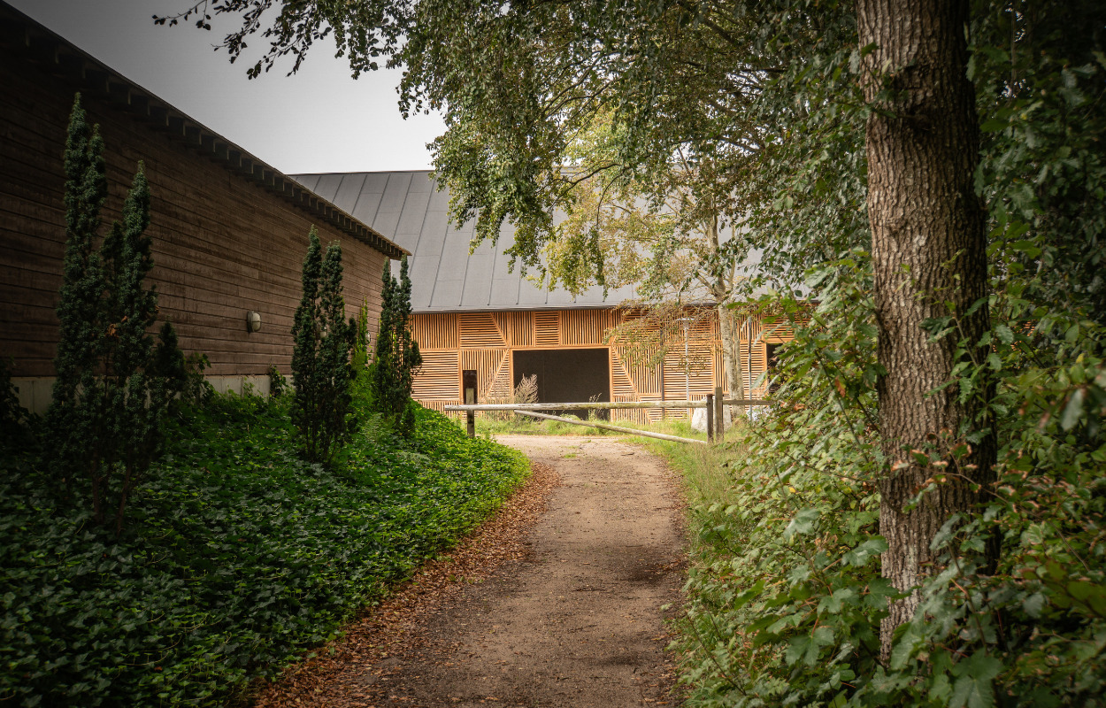 Nyt, moderne fællesmagasin passer på museumsgenstande