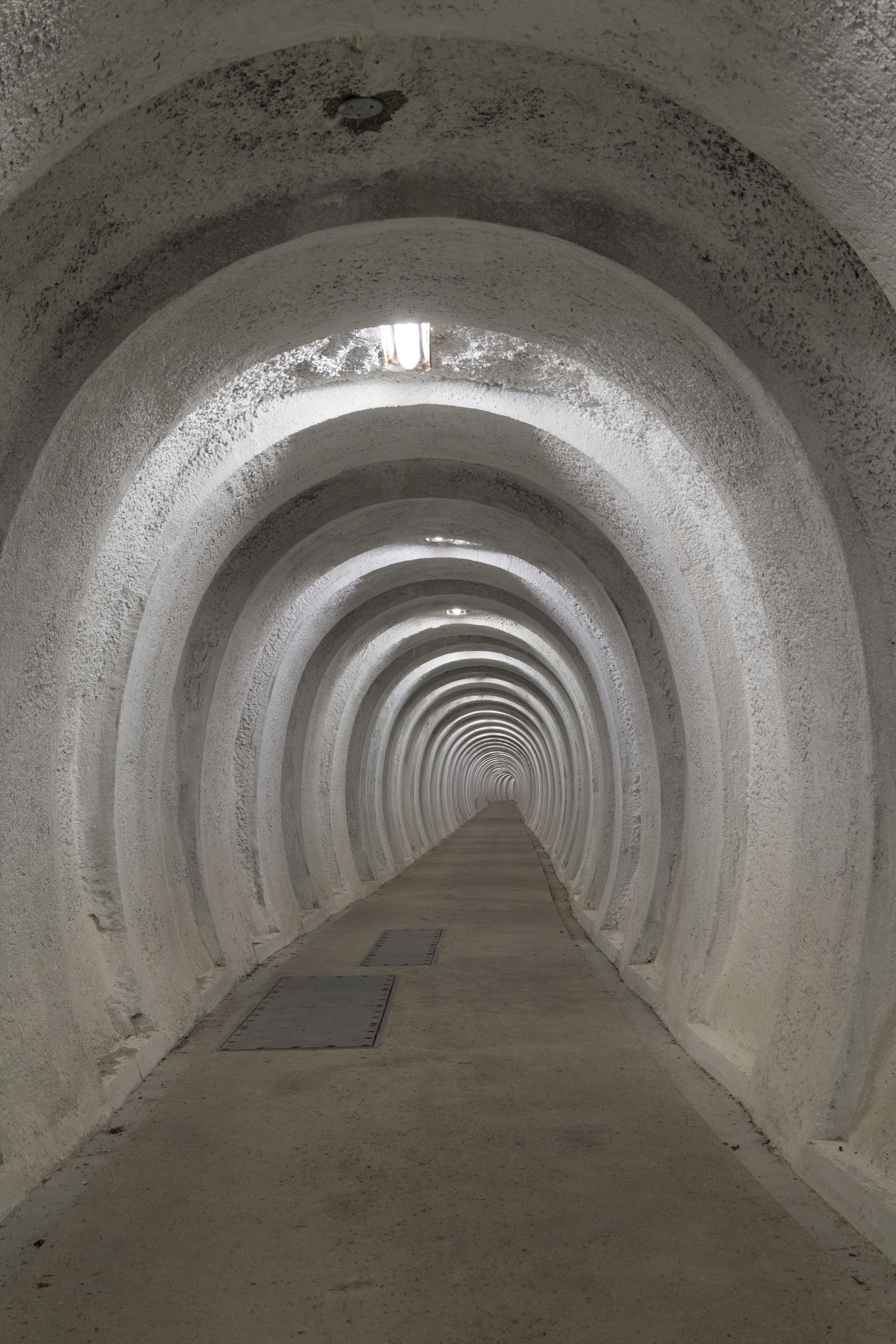 Historie, kultur og litteratur: En begivenhedsrig uge på Brønderslev Bibliotek