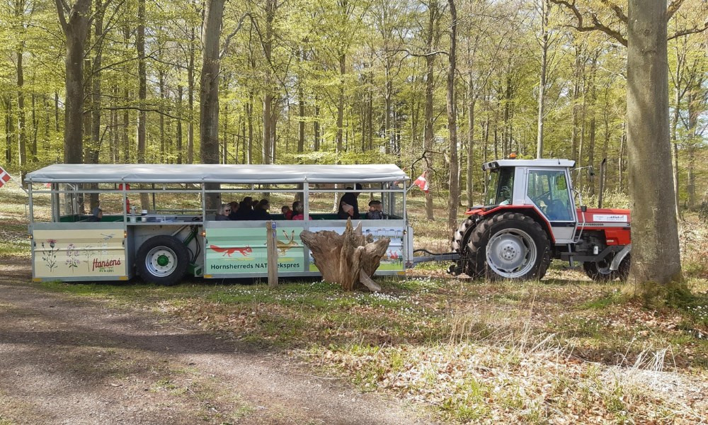 Udforsk nattens mørke med Naturekspressen i Skibby