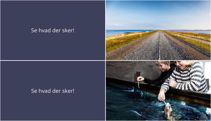 Oplev en eventyrlig weekend i Thyborøn: Vintervandring og hajfodring