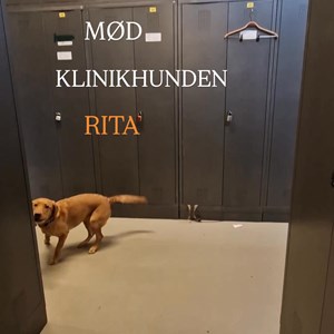Opslagsbillede
