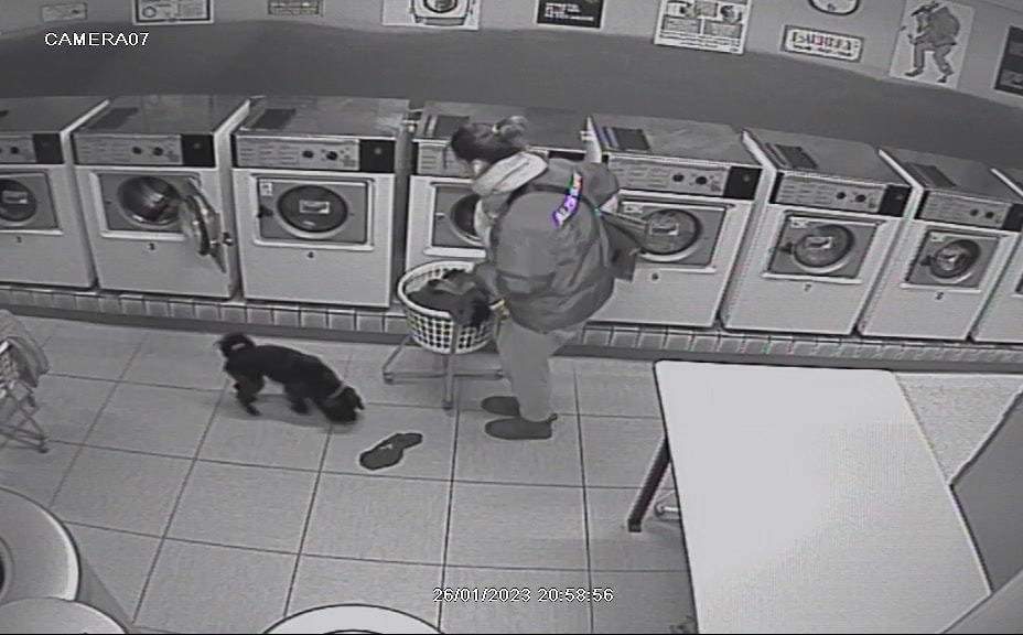 Hold trit med lokalområdet: Nyt fra Viborg