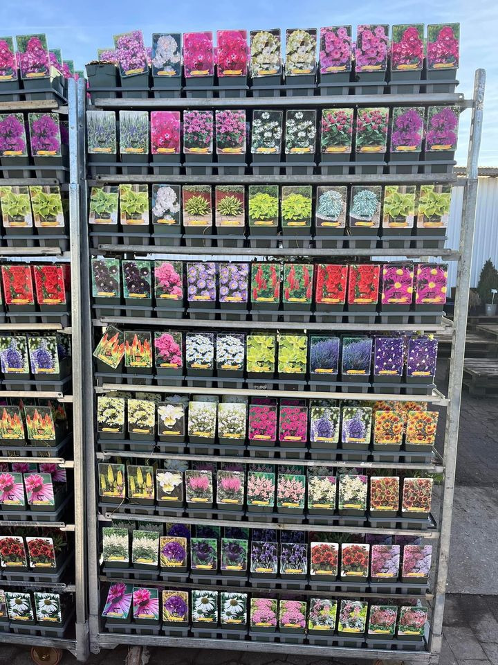 En finger på pulsen i Odder