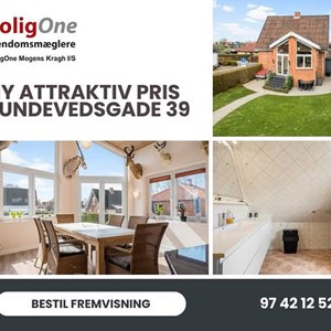Opslagsbillede