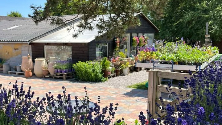 Fra vejbod til levende gårdbutik: Rishøjgård samler lokalsamfundet om bæredygtighed og nærvær