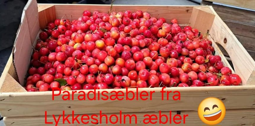 Jensen Jordbær inviterer til kranseworkshop med paradisæbler i weekenden