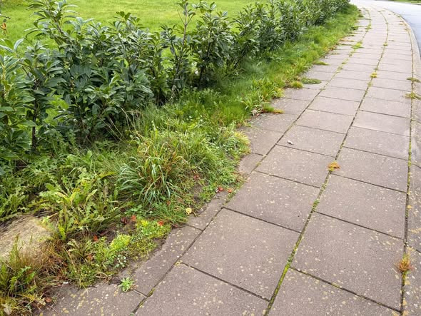 BP GreenGarden hjælper med at holde haven flot og velplejet
