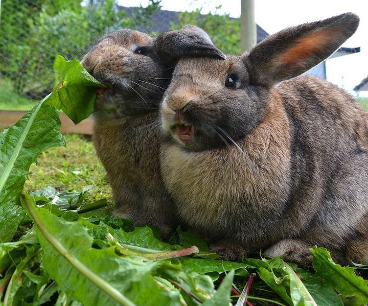 Se dagens updates fra Hjørring her