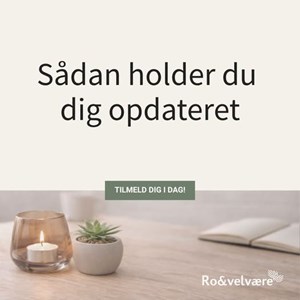 Opslagsbillede