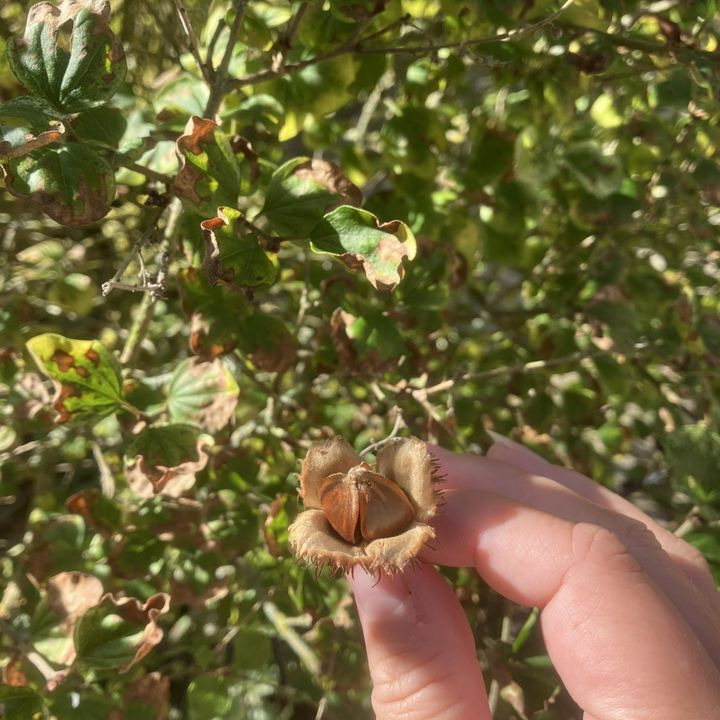 Frændes Madværk byder sensommeren velkommen og ser frem mod efterårets hygge og julefrokoster
