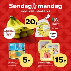 Opslagsbillede