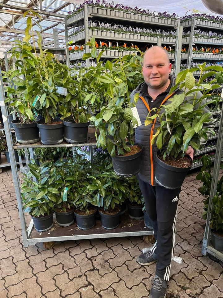 Opslagstavlen: Nyeste opdateringer fra Horsens