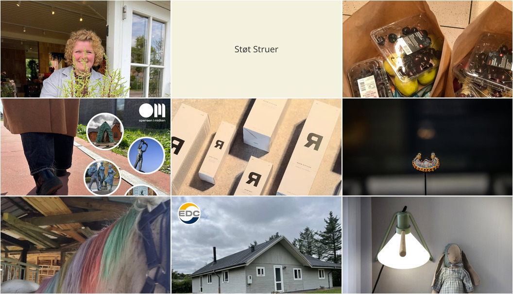 Nyt fra Florist Pernille DB, Museerne i Holstebro, THUSGAARD LIVING og 5 andre