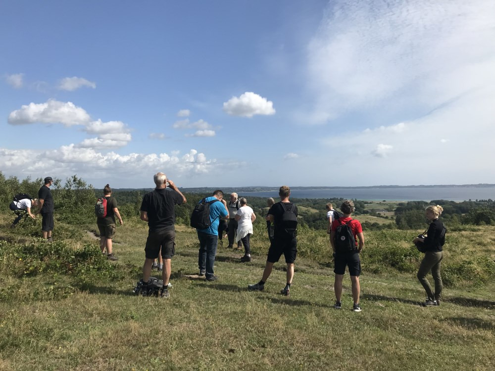 Oplev foråret i Mols Bjerge med en guidet vandretur