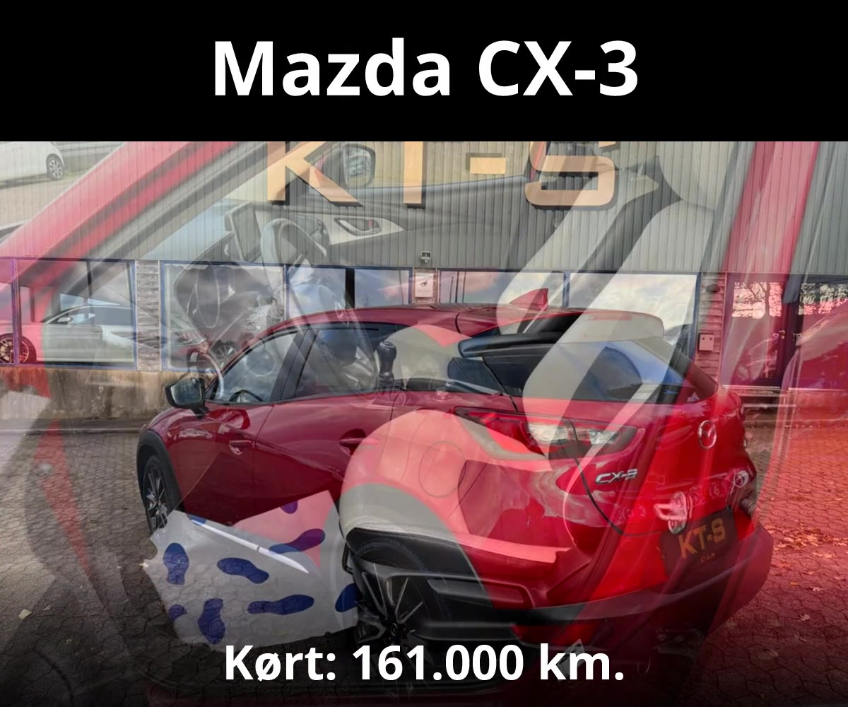 En finger på pulsen i Kolding