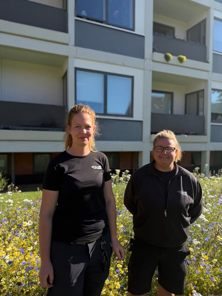 RandersBolig præsenterer det grønne team i Møllevænget & Storgaarden