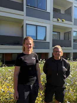 Opslagsbillede