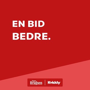 Opslagsbillede