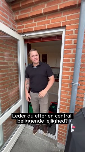 opslagsbillede