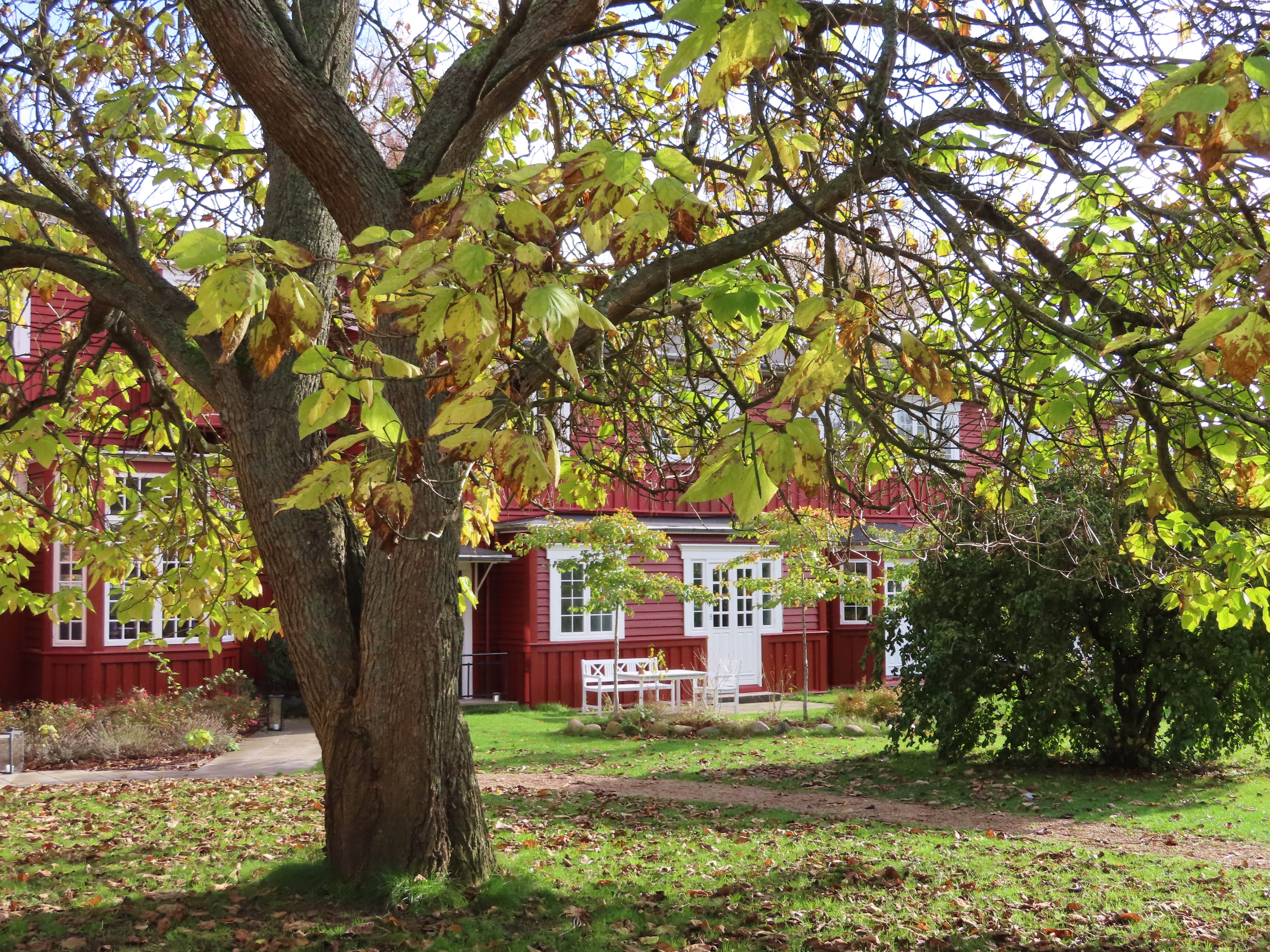 Hotel Hornbækhus går efteråret i møde med oplevelser for alle 