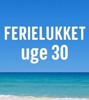 Opslagsbillede