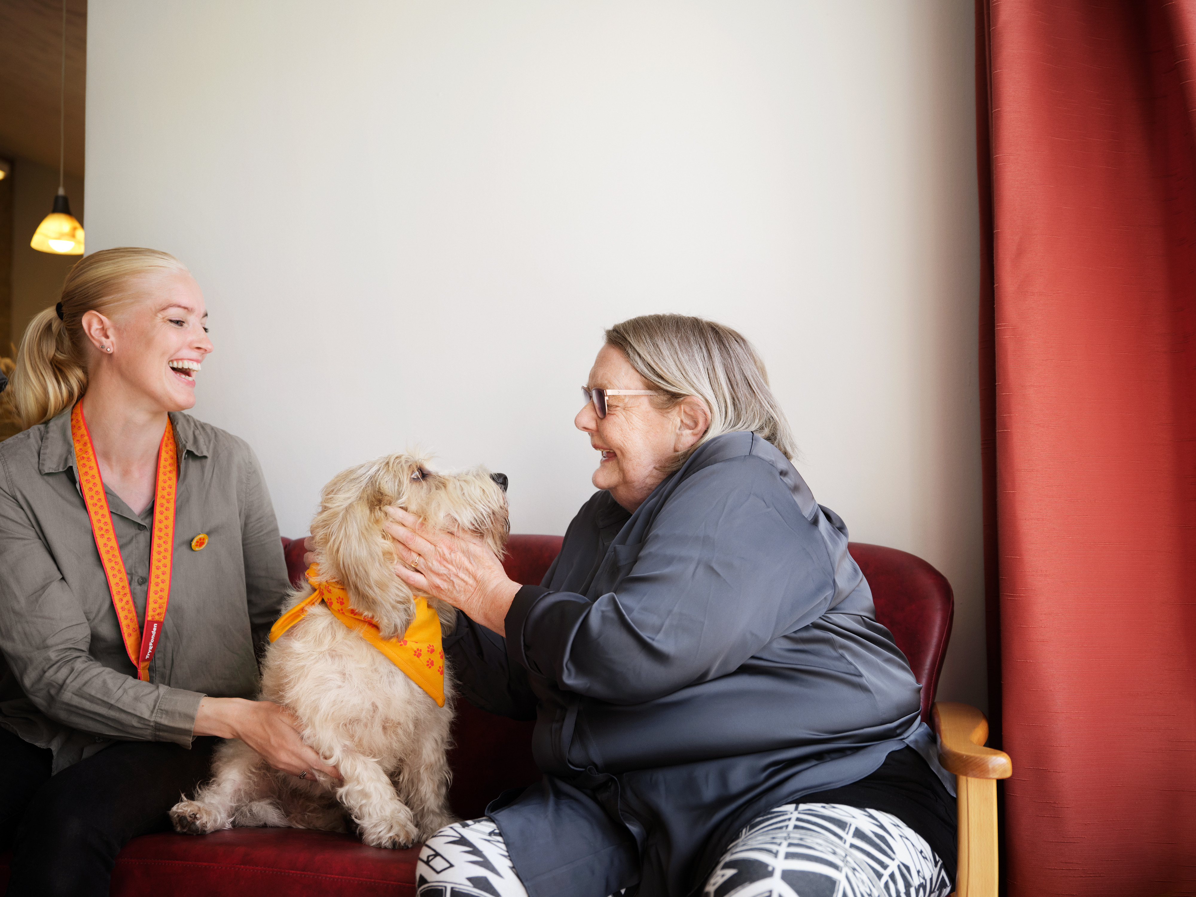 Områdecenter Lindevænget med opfordring til hundeejere i Randers: Det er et kæmpe lyspunkt i hverdagen