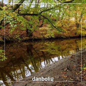 Opslagsbillede