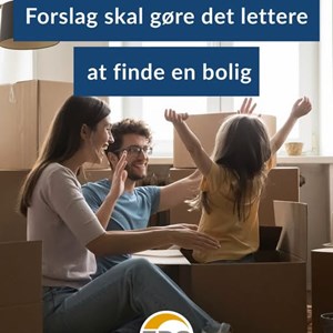 Opslagsbillede