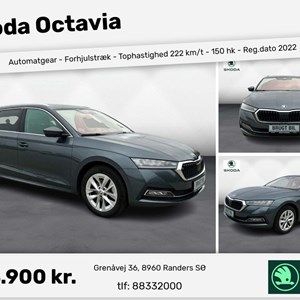 Opslagsbillede
