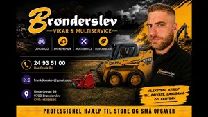 opslagsbillede