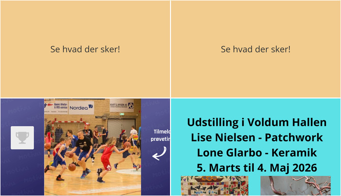 Basketball i Hadsten Hawks og Kunstudstilling i Voldum - Ugens Aktiviteter