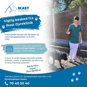 opslagsbillede