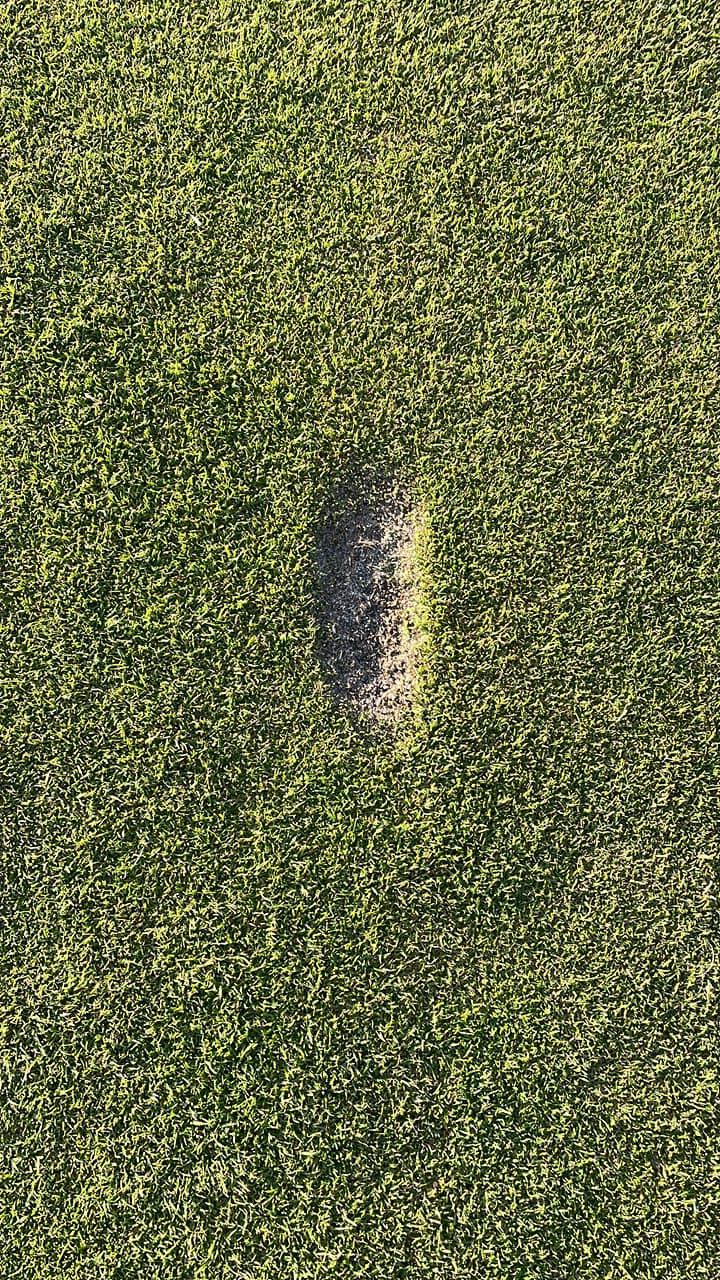 Se dagens updates fra Horsens her