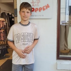 Opslagsbillede