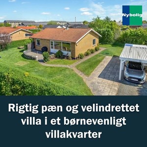 opslagsbillede